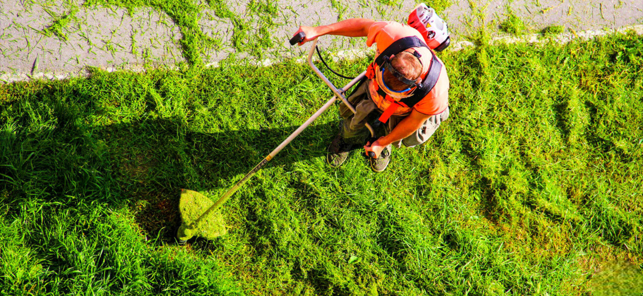 MANTENIMIENTO DE ESPACIOS VERDES